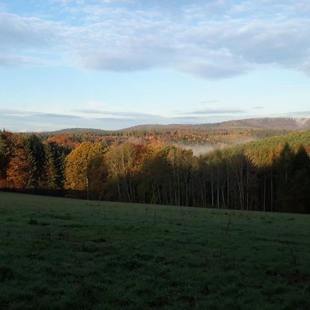 Villa Ellernhof Im Spessart Stadtprozelten Esterno foto