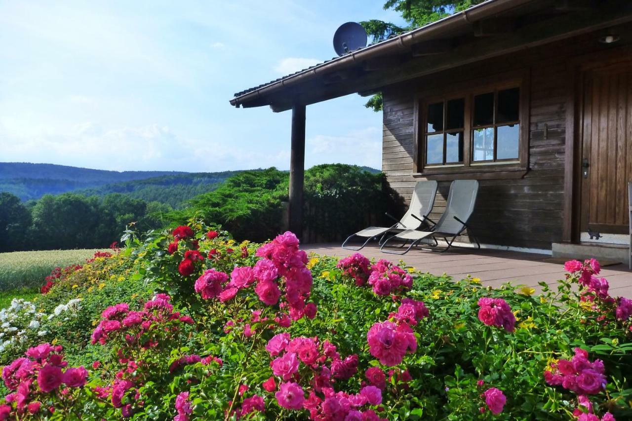 Villa Ellernhof Im Spessart Stadtprozelten Esterno foto